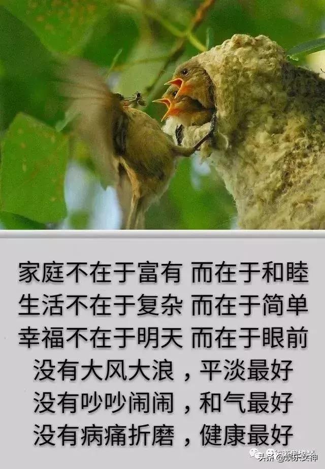 我的家庭相册文章,我的家庭相册细节