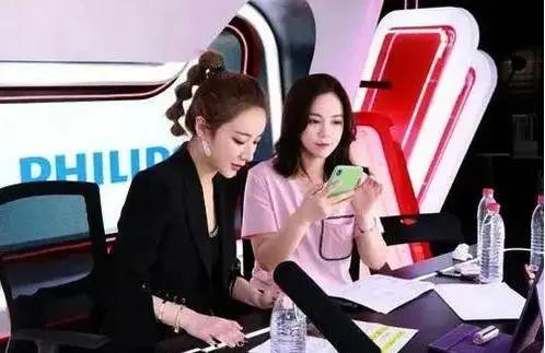 薇娅坐垫的图片,薇娅卖过什么离谱的东西