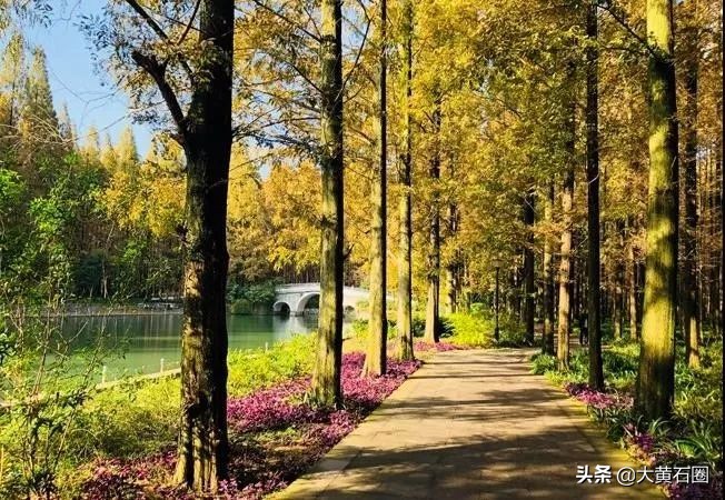 湖北有哪些县市风景最好,湖北有什么山水风景