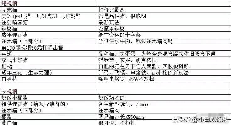 为什么虐猫会被批判,为什么现在虐猫都能上热搜