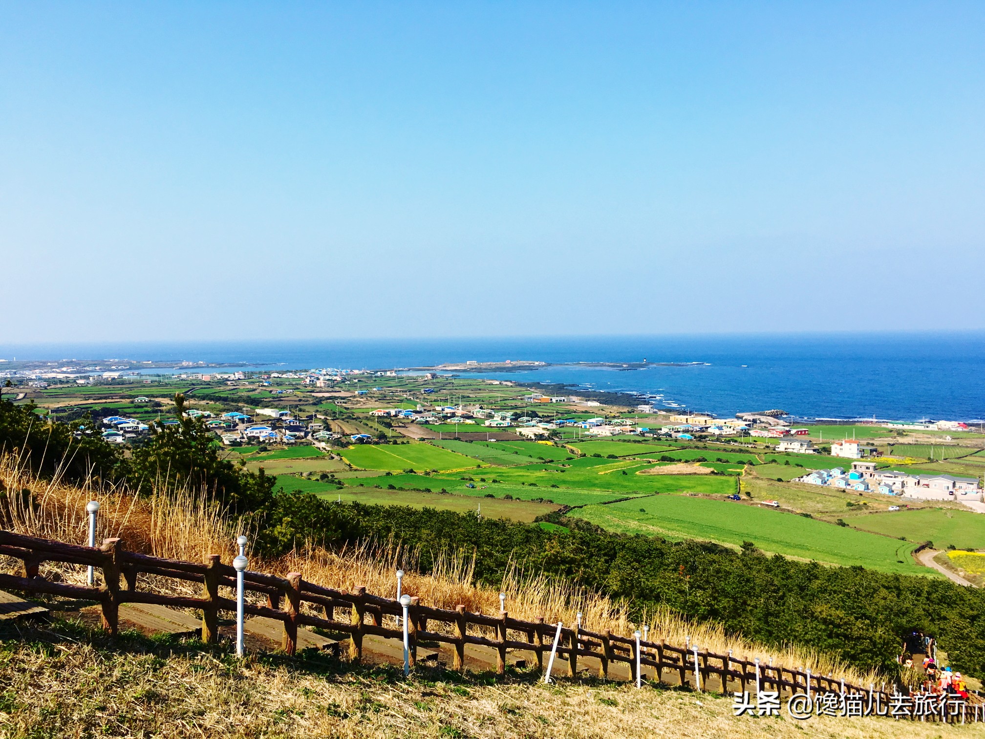 韩国人有多喜欢青岛,韩国人在韩国看对面的青岛