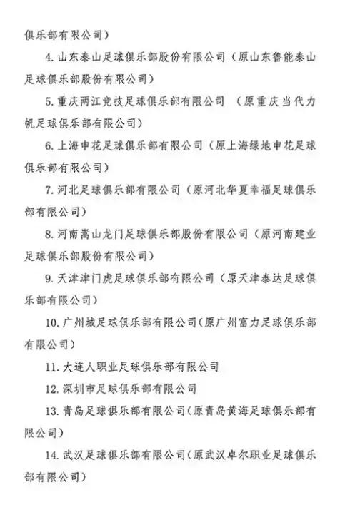 金元足球最大的缺点,江苏金元足球队