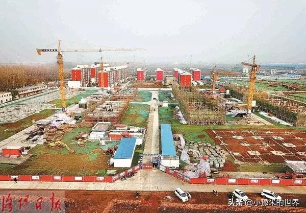 向洛阳人发出邀请国潮盛宴来袭,洛阳发布通知