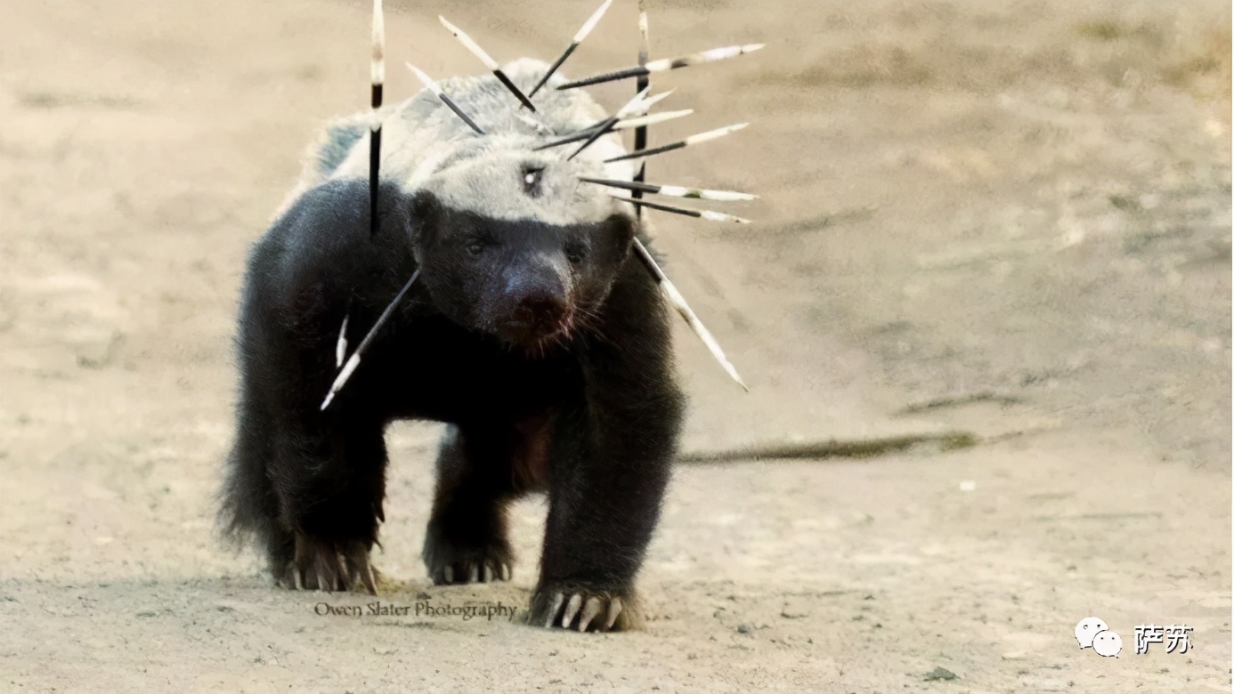 迈克杰克逊和特朗普年轻的时候,迈克尔杰克逊和特朗普是什么关系