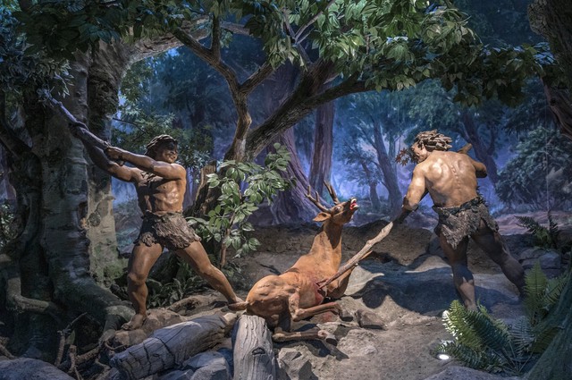 我们为什么不吃食肉动物，专家们说出原因，存在“潜在威胁”？