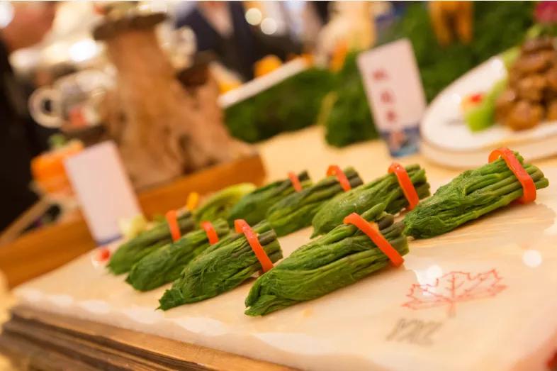 白山之夏旅游,白山4天旅游攻略