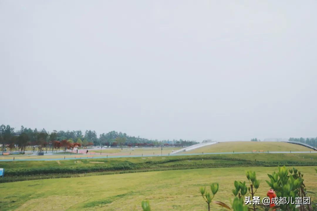 双流空港体育公园看飞机攻略,周末去空港花田