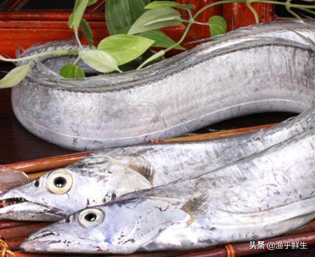 全国十大海鲜排名,中国海鲜十大产地排名最新