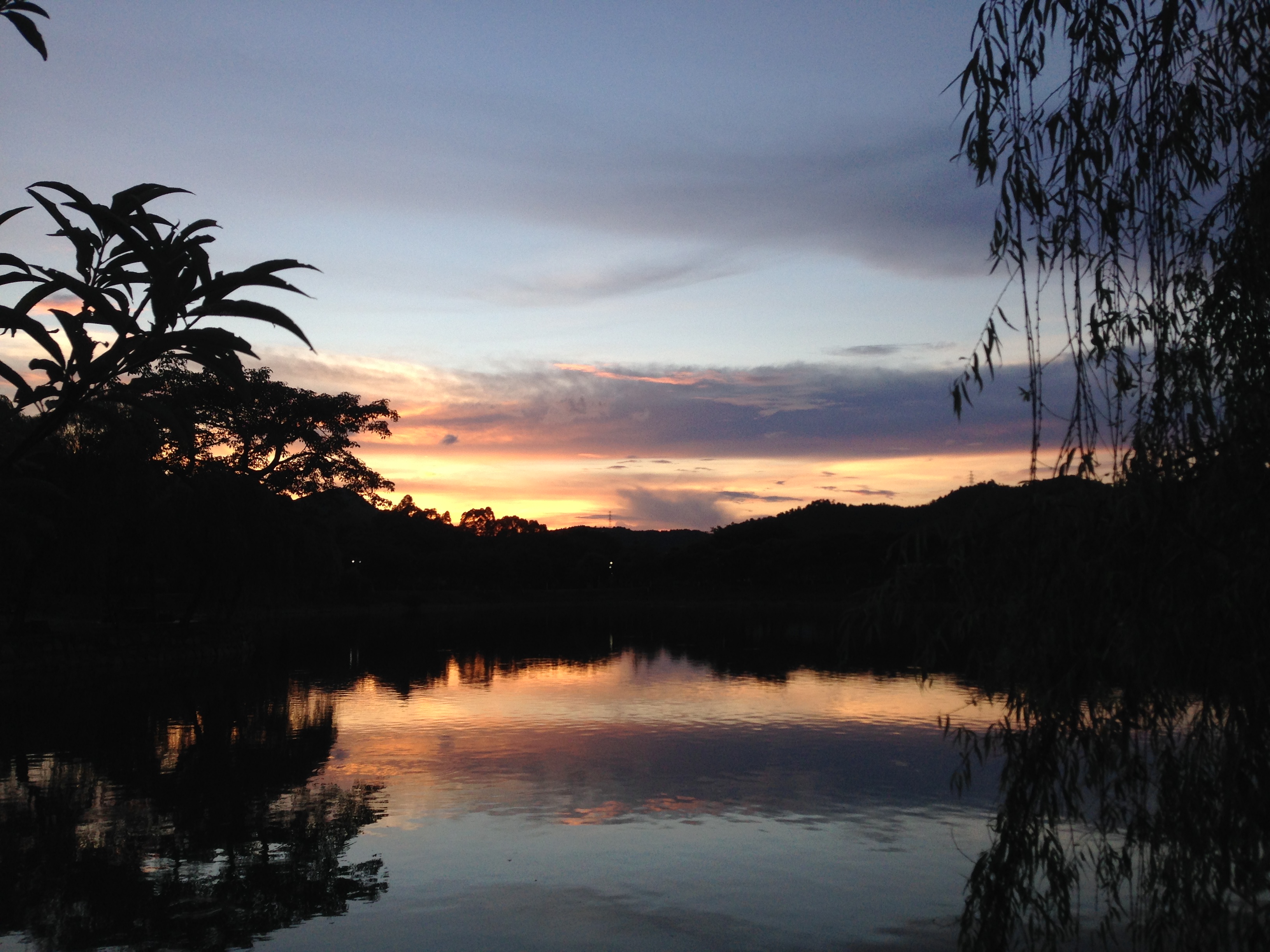 你眼中的珠海是什么样,外国眼中的珠海
