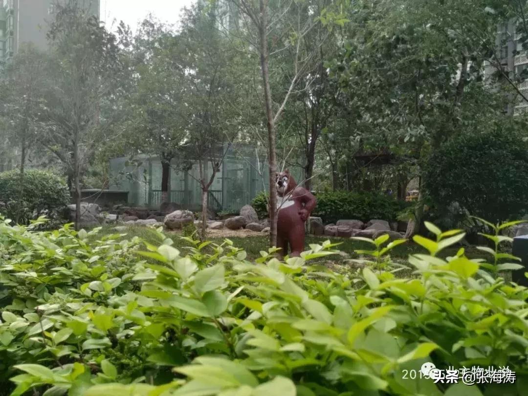 物业服务零投诉,福泽门物业现状