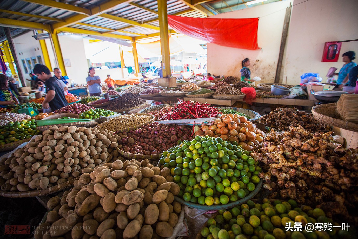 印尼美娜多土特产,印尼美娜多动物菜市场