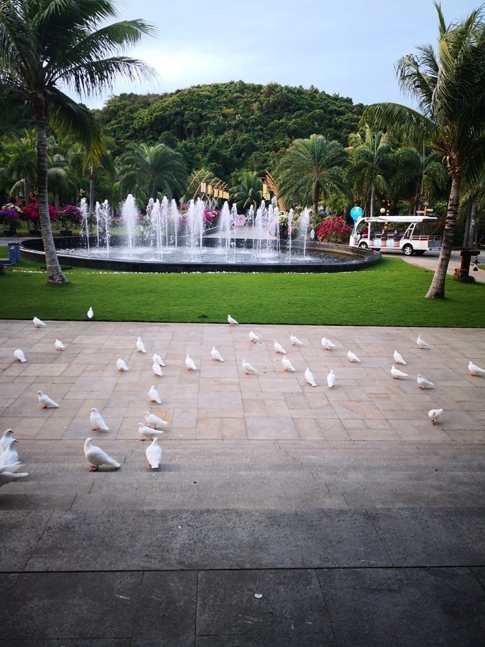 三亚新年自由行,一个人的旅行三亚之旅