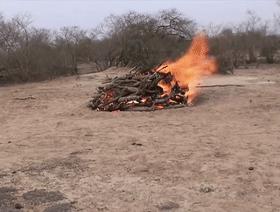 原始木炭烧制原理,古法烧制木炭的关键技术要点