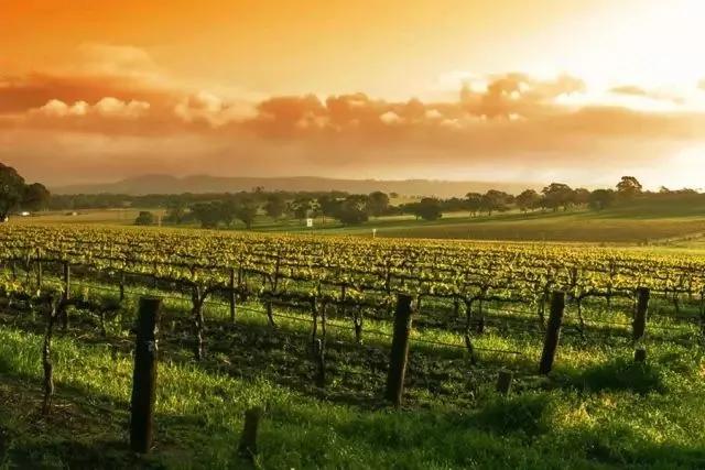 探秘加州,探秘美国加州荒野之地