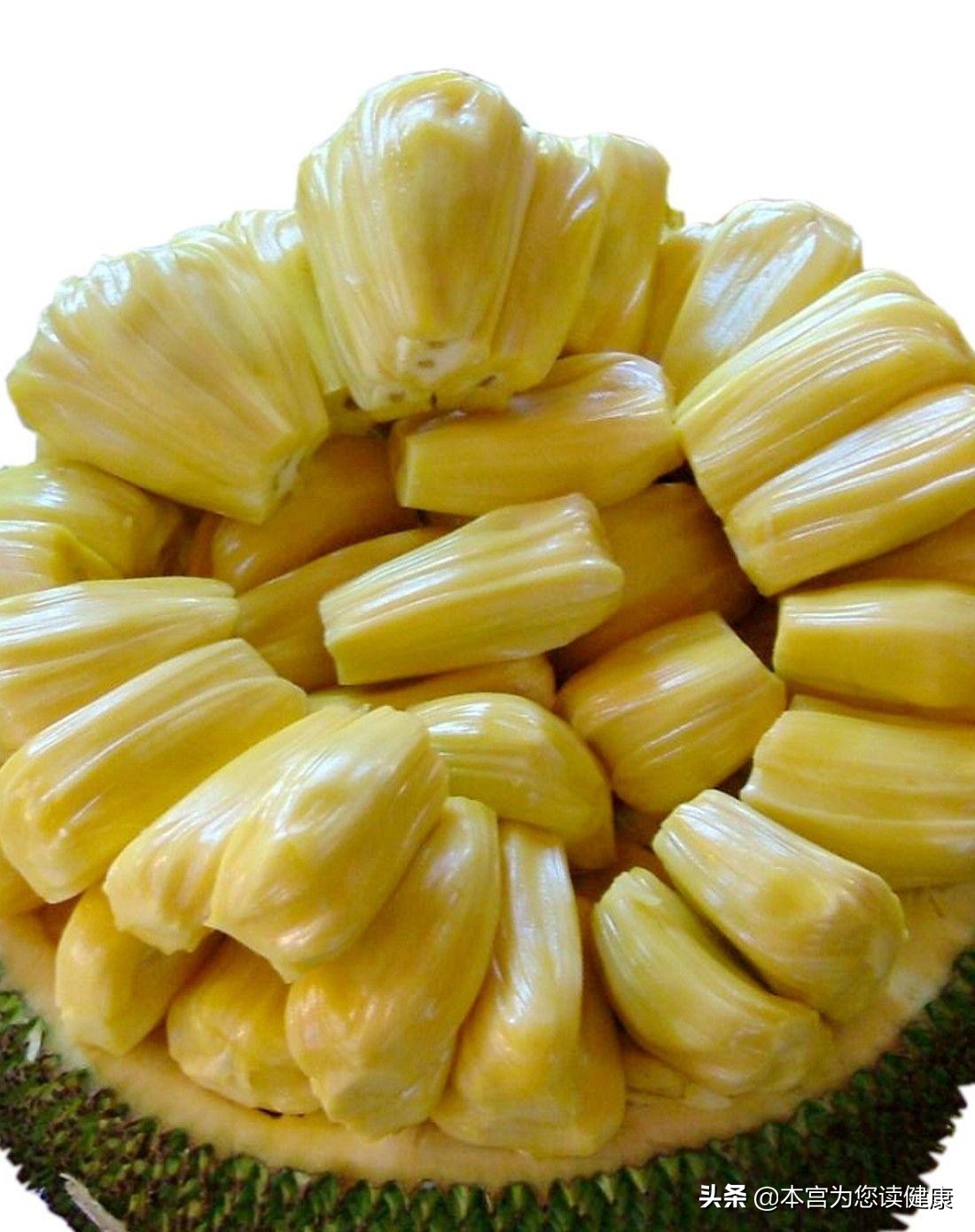 大树菠萝蜜怎么样才能吃,菠萝蜜超级巨无霸大果