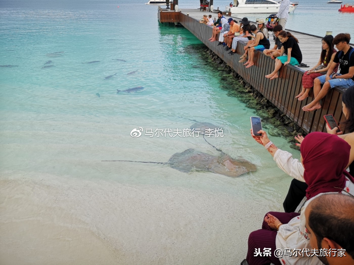 马尔代夫卓美亚海岛,马尔代夫卓美亚岛攻略