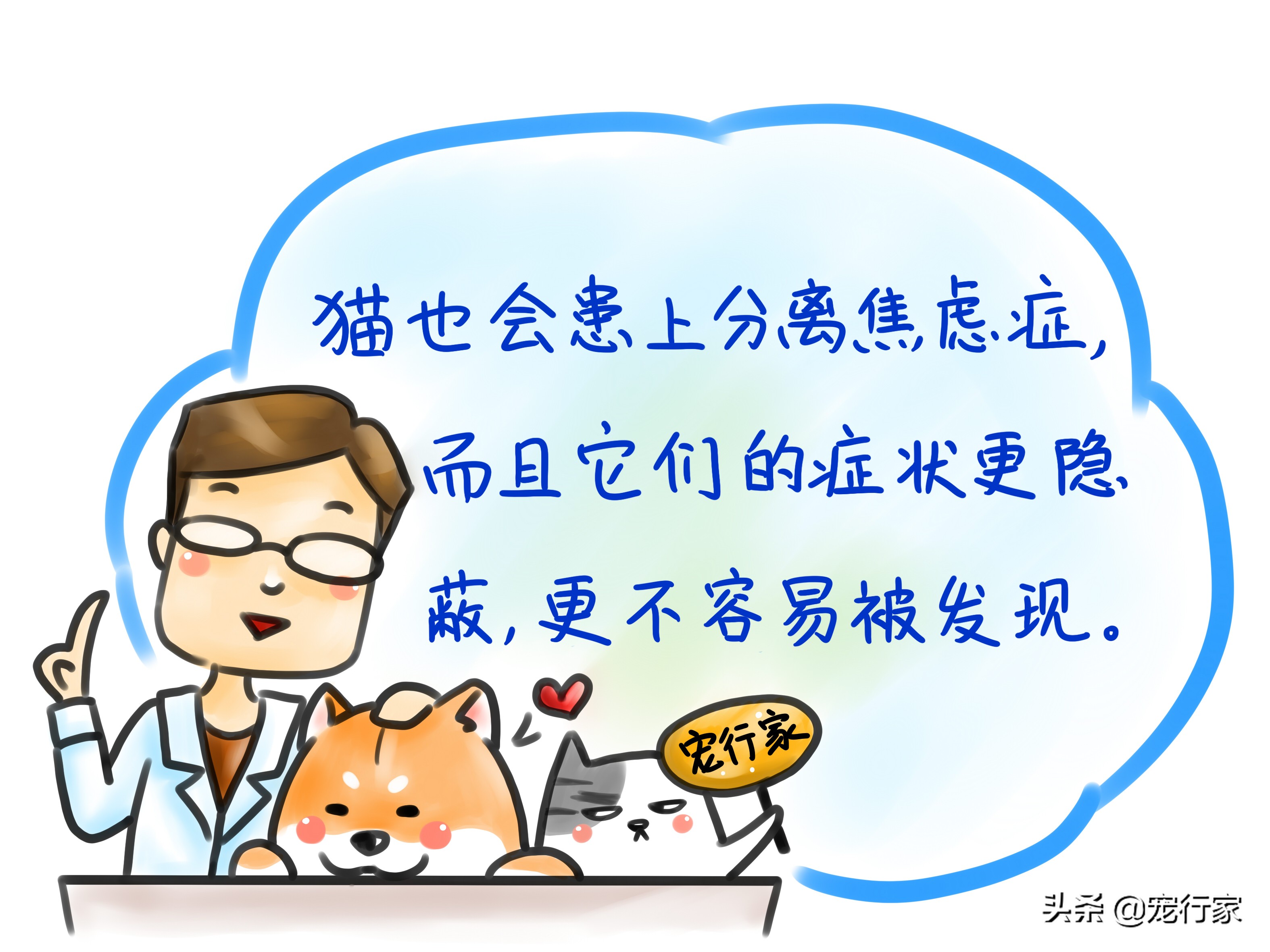 猫也有分离焦虑症吗,猫有分离焦虑怎么办