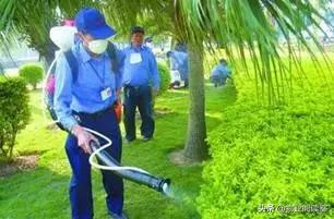 物业环境管理包括哪些方面,物业秩序外包管理方案