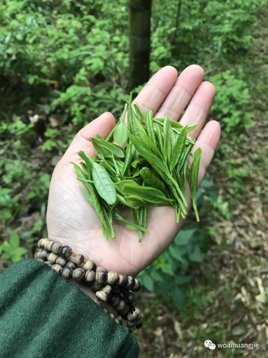 泾县哪些地方值得去,泾县值得去吗