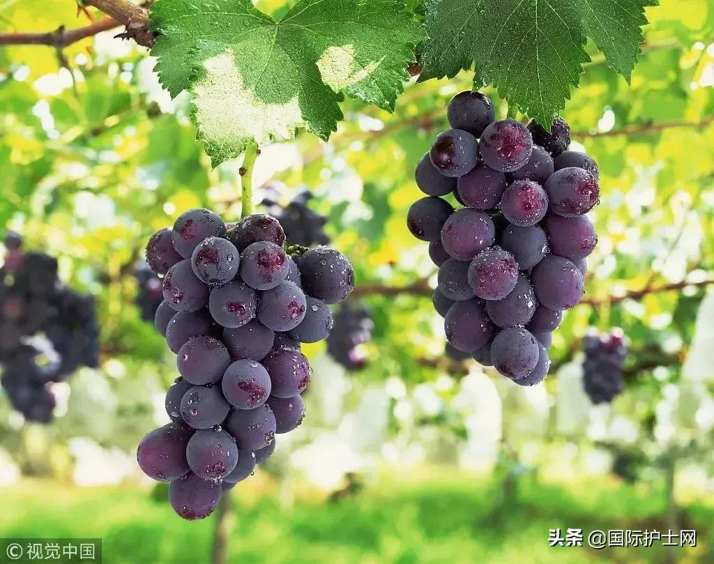 多名女性被害的后果,多名女性受害