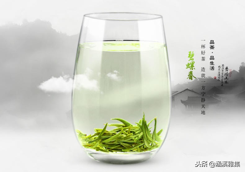 碧螺春茶介绍中国十大名茶,顶级白茶照片中国十大名茶