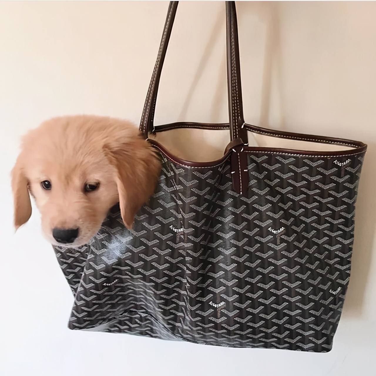 从Obag到Longchamp，千元的上班包真香