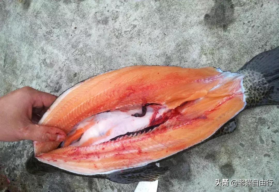 越南自由行旅游攻略路线推荐,越南自由行攻略详细图解