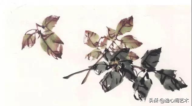 写意牡丹叶子画法步骤教程,王兮然写意牡丹画法视频大全