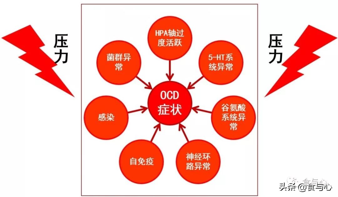 肠漏综合征的五大危害,肠瘘是一切病的根源