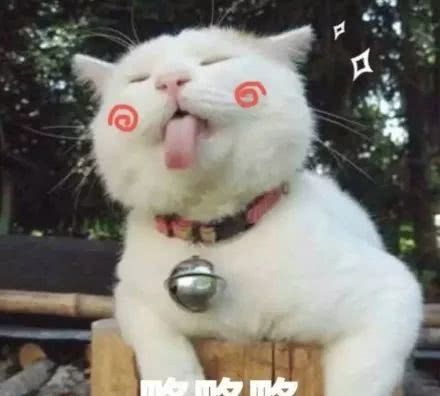 素颜霜普通人真实测评,十几块钱素颜霜真的好用吗