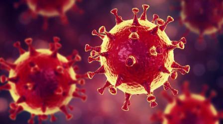 灭绝一种动物对地球有什么后果,最可怕的病毒杀死了地球上多少