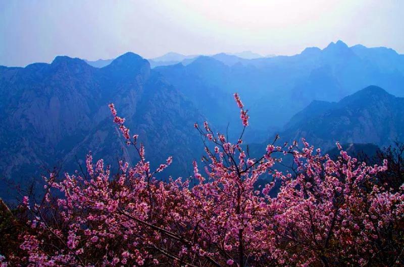 探索华山未解之谜之黑龙潭,华山黑龙潭在哪个峰