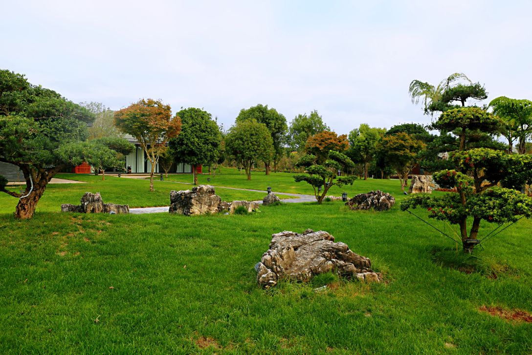 弥勒太平湖森林木屋酒店团购直播,弥勒太平湖森林木屋酒店有温泉