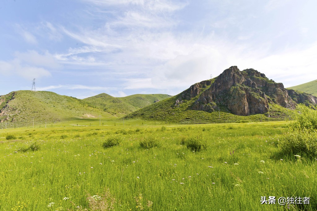 丰宁野花,丰宁坝上草原花海
