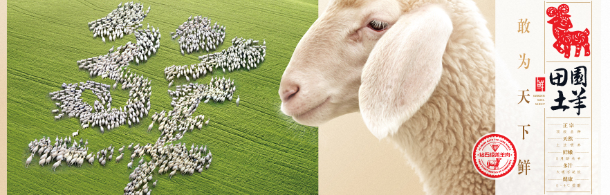 冲突品牌营销策划案例分析——鑫沃牧业