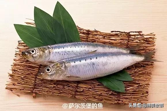 32种经典寿司做法视频,寿司常用的鱼