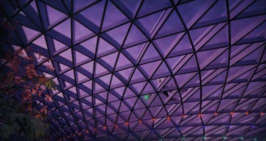 新加坡樟宜机场扩建第五航站楼,新加坡樟宜国际机场横屏