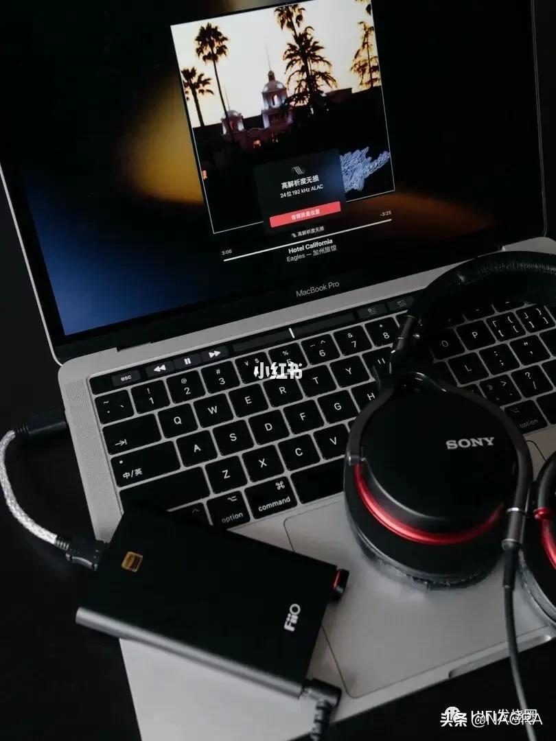 applemusic无损和高品质对比,玩转applemusic无损