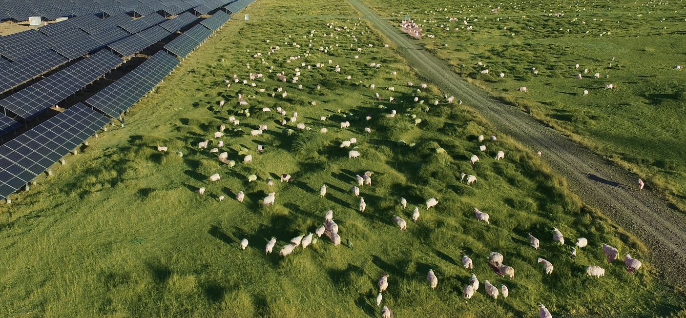 青海最大的光伏发电厂,青海最大的光伏发电图片