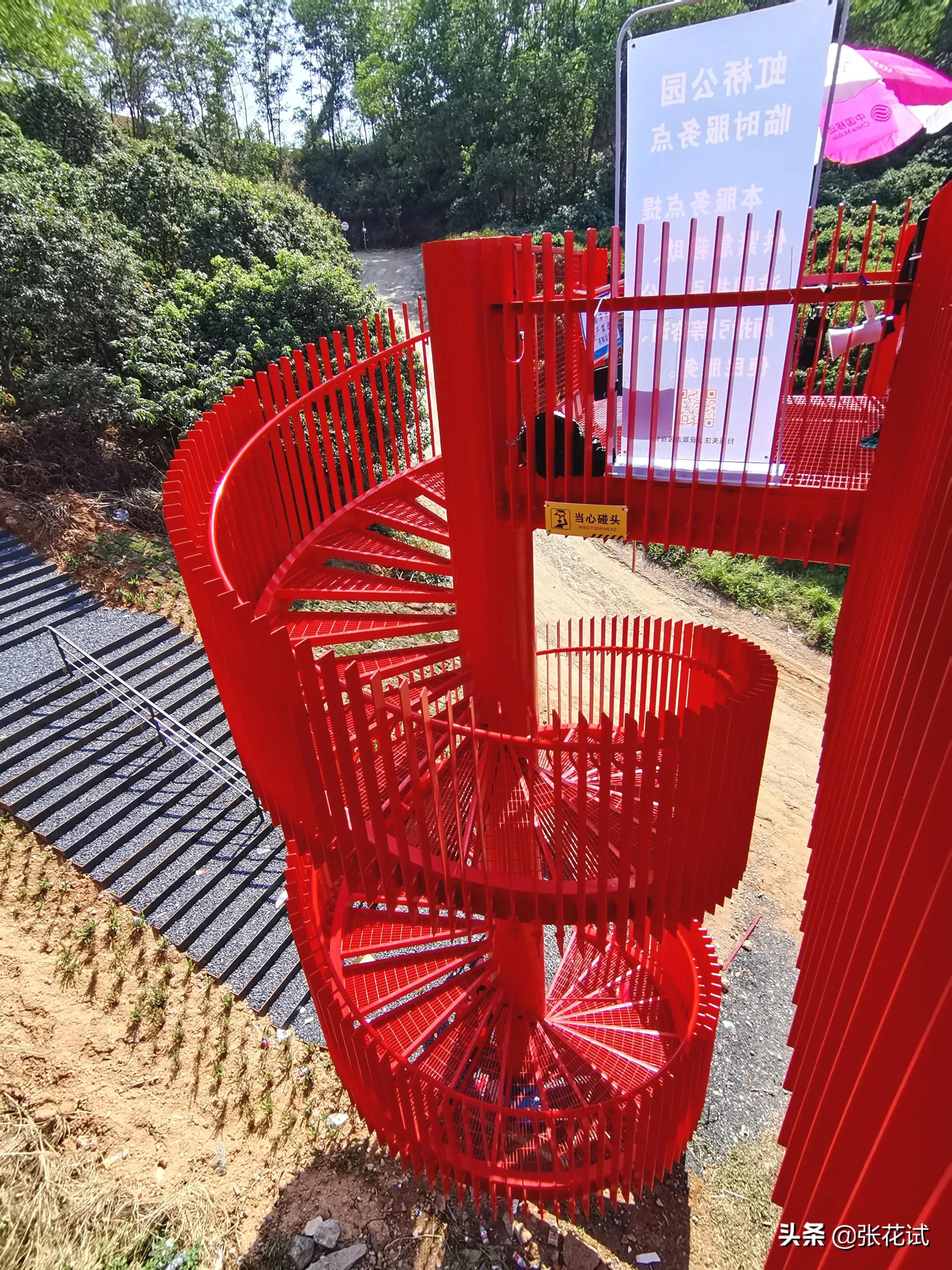 新春踏上深圳光明“虹”地毯，牛年红红火火