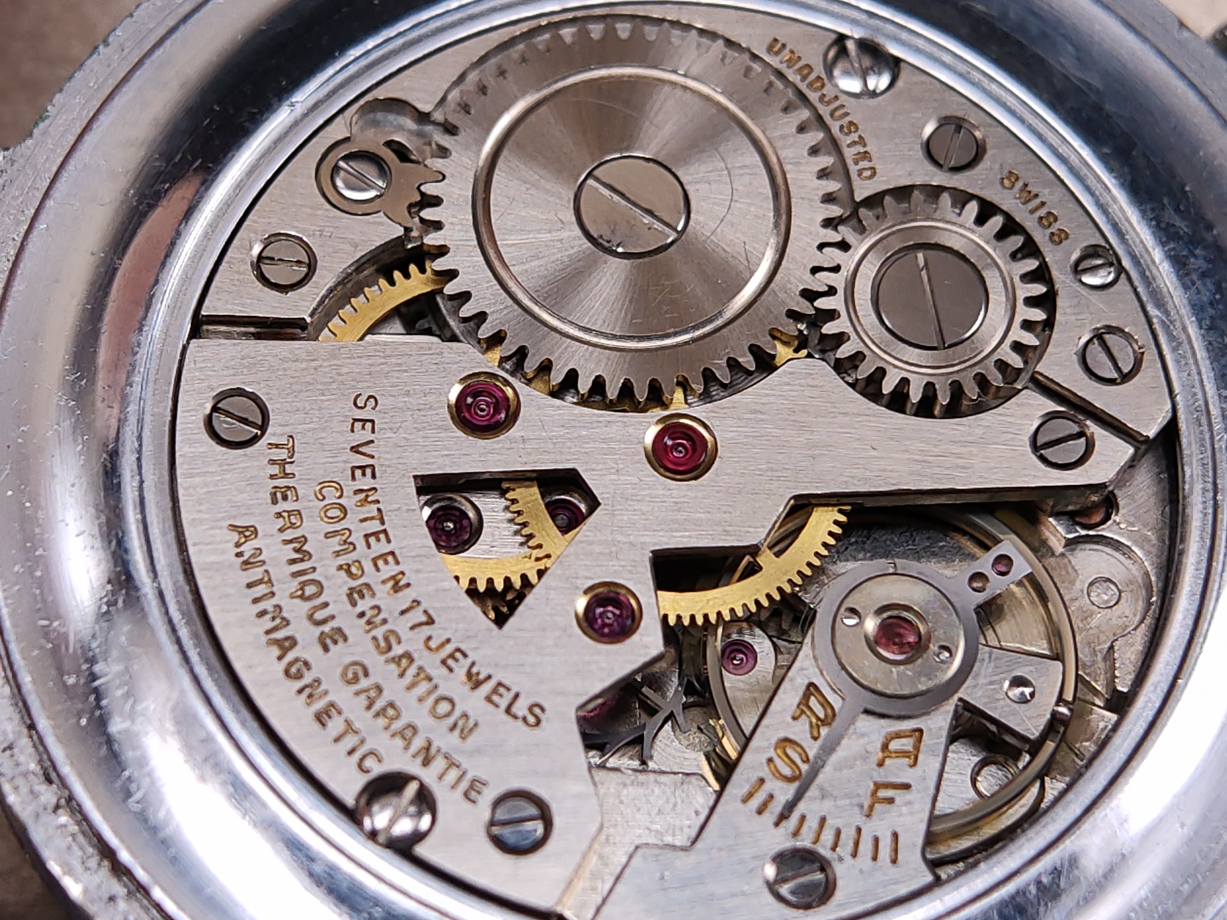 因为一条鱼爱上一个人,因一条鱼丢了一条命