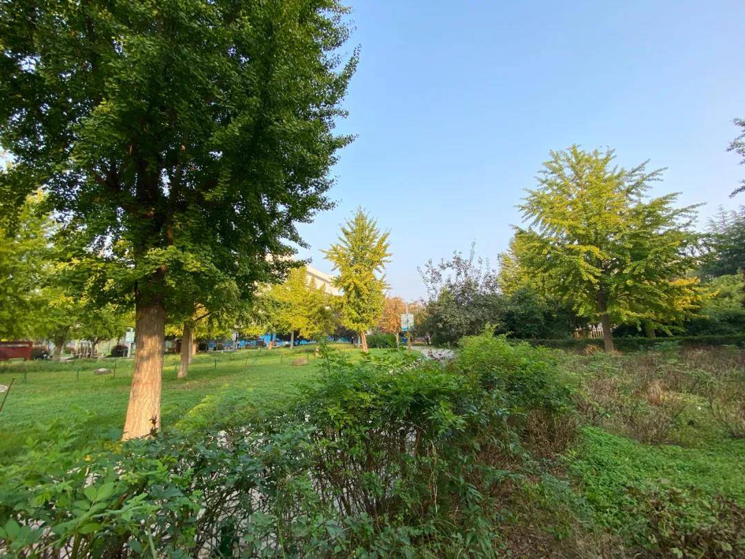 郑州出发黄河沿线自驾游最佳路线,郑州黄河自驾游攻略路线