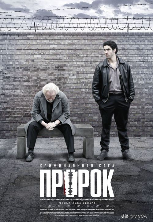 推荐几部电影黑帮片,世界公认最好的十部黑帮片电影