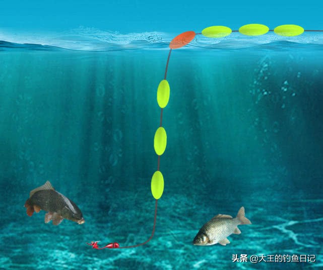初秋七星漂晨钓是钓浅还是钓深,秋季用七星漂钓鱼视频