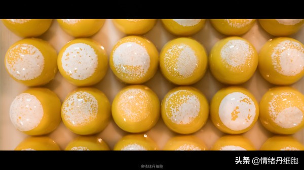 可以去玩一整天的地方,能玩一两天的地方