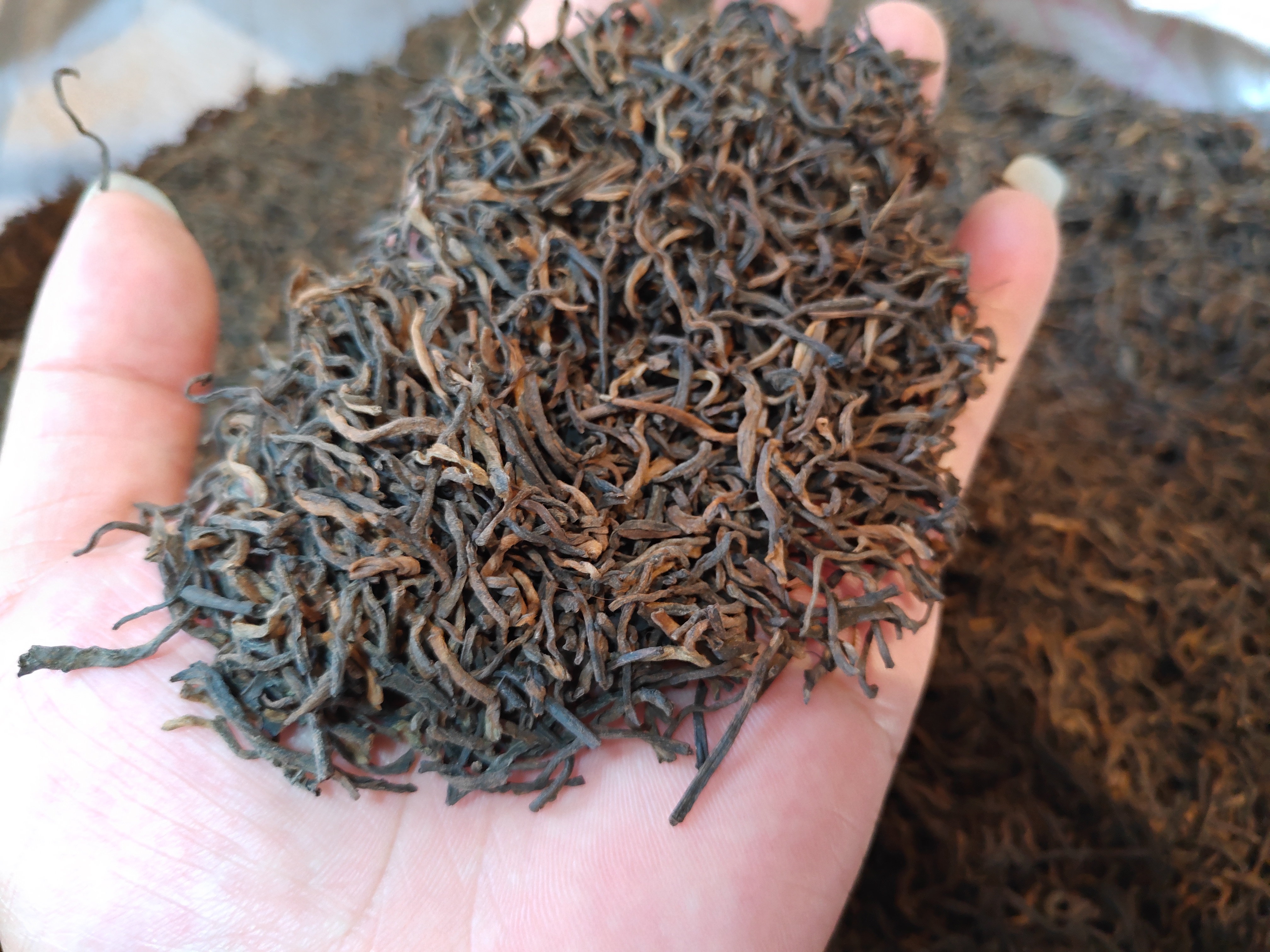 普洱茶生茶和熟茶哪个贵,普洱茶生茶与熟茶的区别与作用