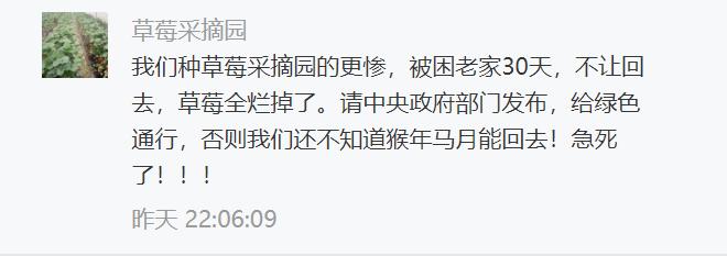 农产品蔬菜水果滞销视频,中国水果蔬菜滞销解决方案