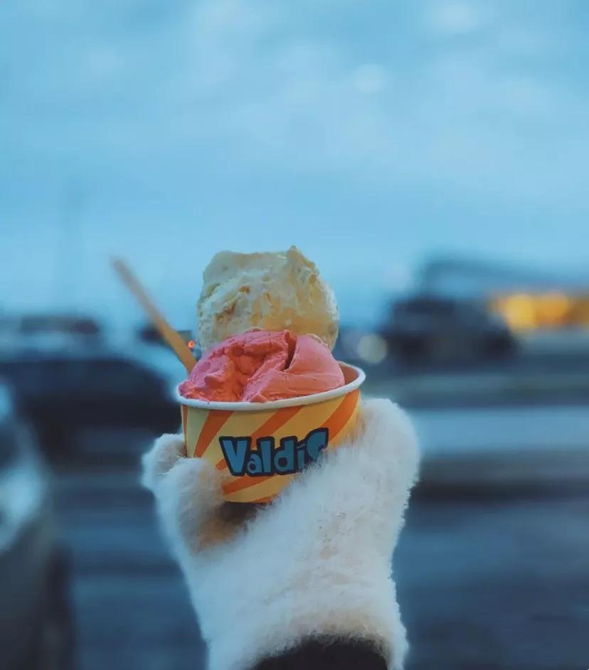 冰岛的特色美食有哪些,冰岛奇异美食