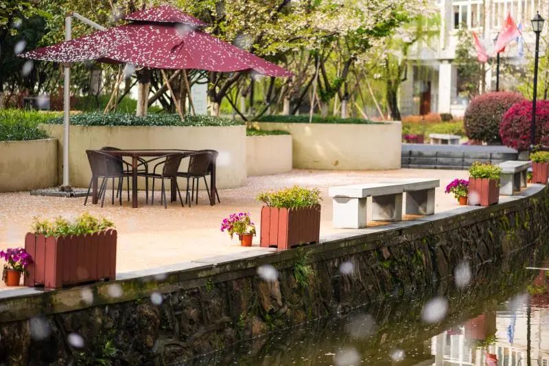 杭州的普高升学率,杭州重点高中排名及录取分数线