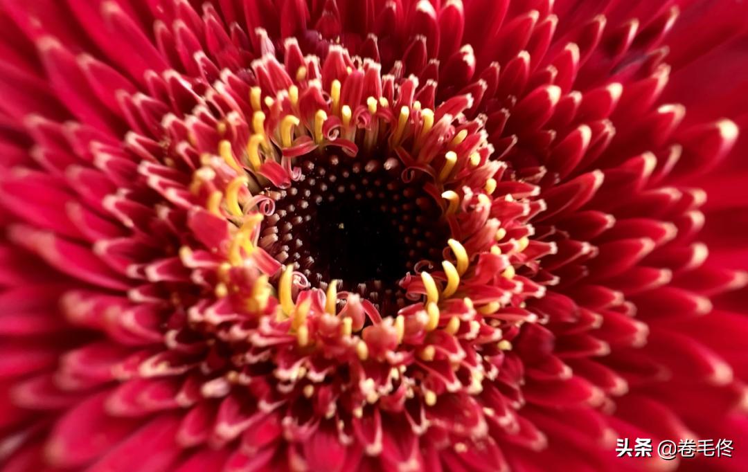 入手iphone12还是再等iphone13,iphone12和iphone13值得购买吗